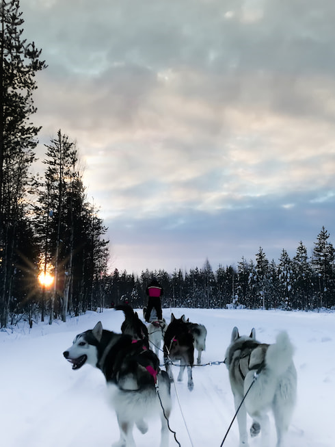 Article Bon Vent Normand - 4 Jours en Laponie Finlandaise en hiver