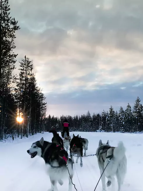 Article Bon Vent Normand - 4 Jours en Laponie Finlandaise en hiver